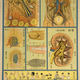 Illustration for article titled Retro Educational Posters Reimagine The Human Body As A Factory